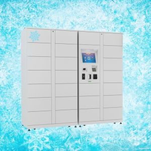 China Winnsen Refrigerated Smart Food Locker Fruit Customized wholesale