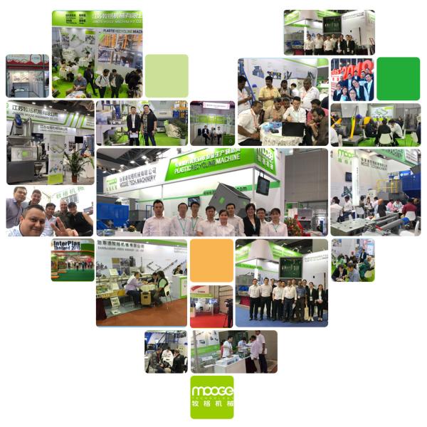 Sparkling Water Bottle Crushing Plastic Pet Washing Recycling Machine