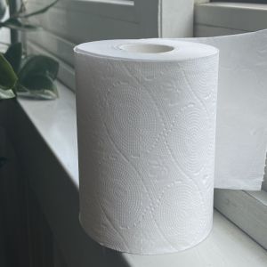 Servo Motor Tissue Paper Making Machine 4Plys Paper Roll