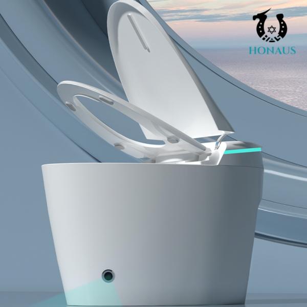 Dubai Hotel Smart Intelligent Toilet Luxury Multi Cleaning Customized