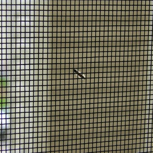 Metal Fly Mesh Fiberglass Mosquito Net Roll For Window And Door Mesh Screen