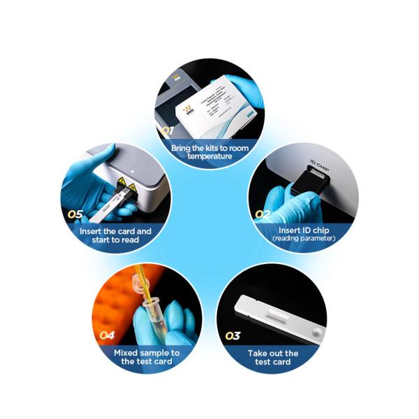 Progesterone Prog Rapid Quantitative Test Fluorescence Immunoassay