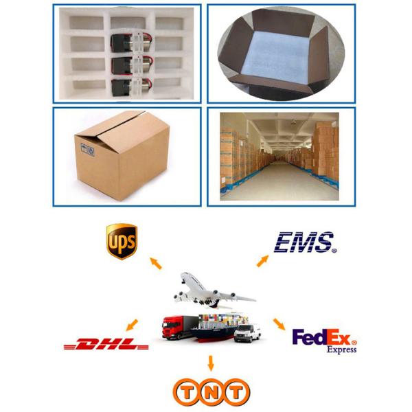 5L/M Flow Electric Dc Brushless Diaphragm Pump Mini 12v 170kpa Pressure