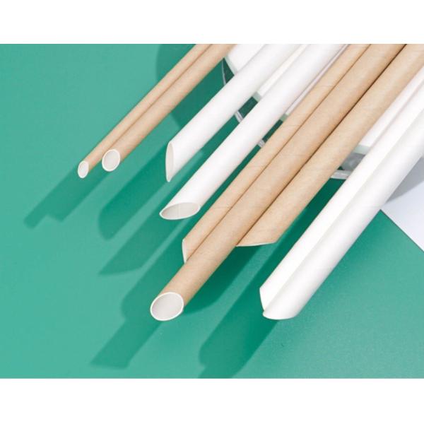 Food Grade Certified Eco Disposable 100% Biodegradable Kraft Paper Straws 12*230MM
