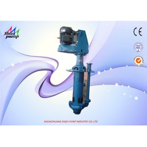 China 65QV - SP Submerged Sump Pump , Sand Pumping Vertical Mud Pump wholesale