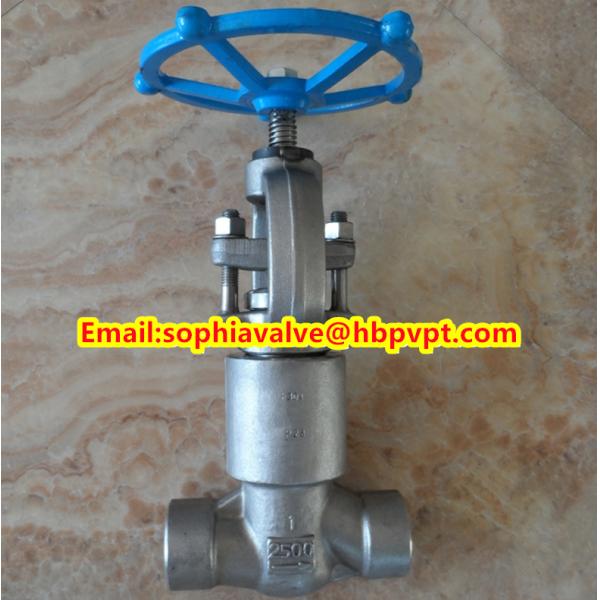 ANSI forged stainless steel globe valve