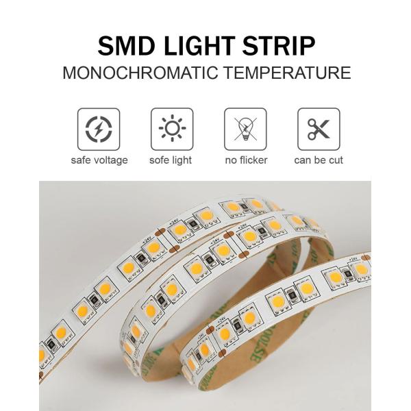 12V 24V Chasing Soft Outdoor Silicone Smart Light Smd Flexible Led Neon Strip Light 10M