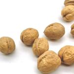 China walnuts Factory Supplier Wholesale Healthy inshell Organic walnuts Food