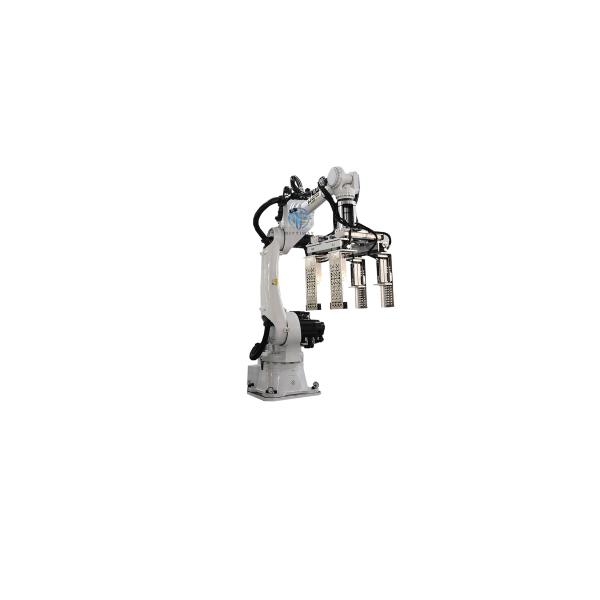 Safety Robotic Case Packer Case Packer Machine Operations