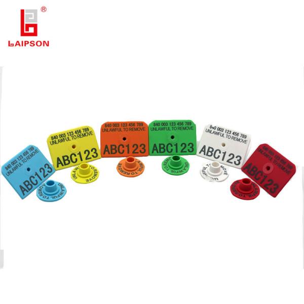 Quality Animal Identification Pig Ear Tags Polyether TPU 52*38*23mm With Laser for sale