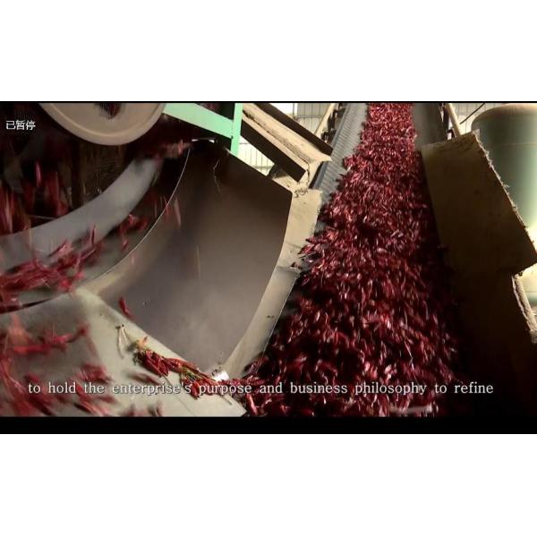 3CM Hot Pot Red Bullet Chilli Chaotian Pepper Stick Shape 20000 SHU