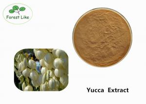 China Odor Removing Pure Yucca Extract Powder 30% Sarsaponin Yellow Brown Powder on sale