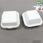 6 Inch (547 Ml) Clashmell Microwavable Container Boxes - Restaurant Carryout