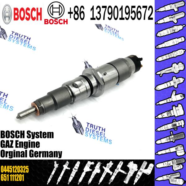 Diesel Injector 0445120325 0445 120 325 0 445 120 325 For Common Rail Injector Diesel Injector