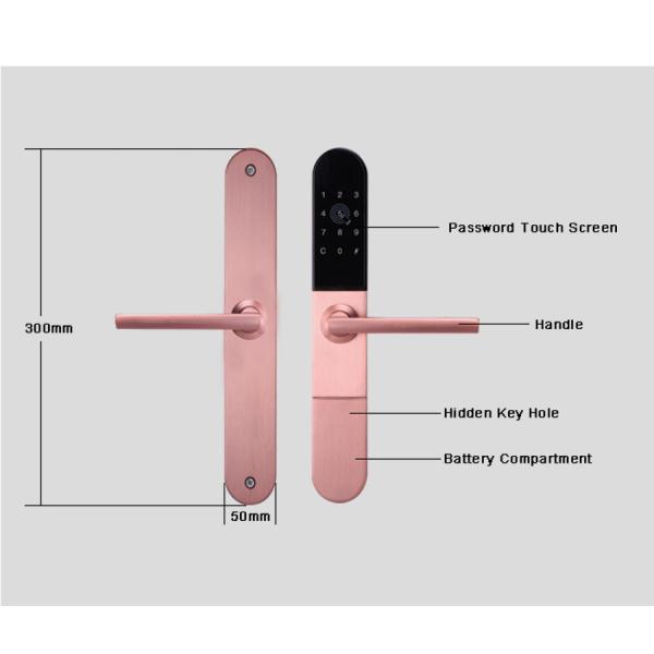 Smart Lock Door zinc Alloy App Control Smart Aluminium Door Locks For Sliding Door