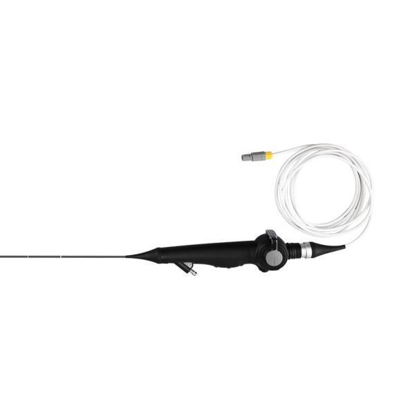 Portable Flexible Endoscope Video Camera For Small Animal Gastroscope And Colonoscope
