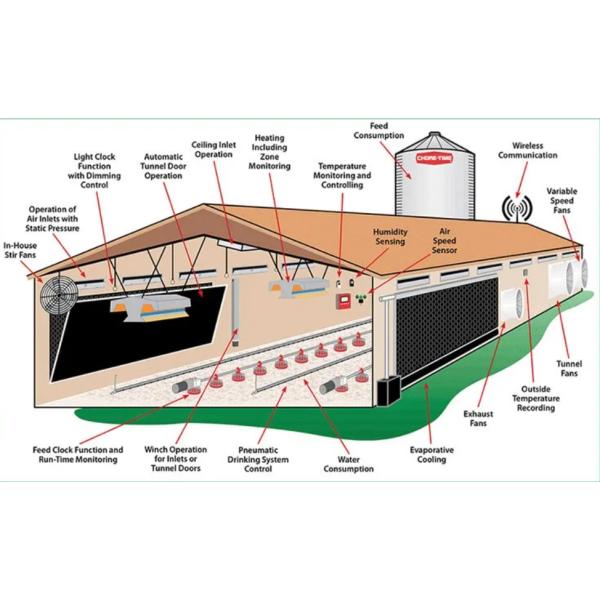 Metal Poultry Breeding Base Pre Engineered Metal Building