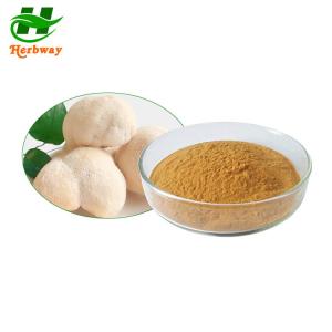 China Lion's Mane Mushroom Extract Hericium Erinaceus Extract 12542-36-8 on sale