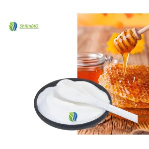 China High Quality Honey Powder Food Grade Dry Honey Extract Powder wholesale