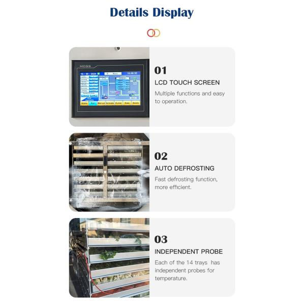 4m2 14 Large Trays Vacuum Food Freeze Dryer Factory Manufacturer for Fruits and Vegetables