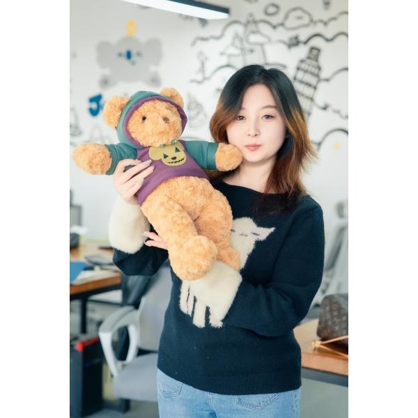 Custom Hypoallergenic Kawaii Hedgehog Plush Toy CPC CE UKCA Compliant Wholesale