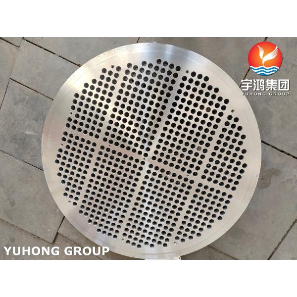 22241 BAFFLE AND TUBESHEET (4)