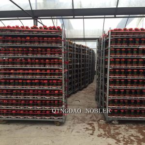 Multiple Shelf Danish Flower Trolley