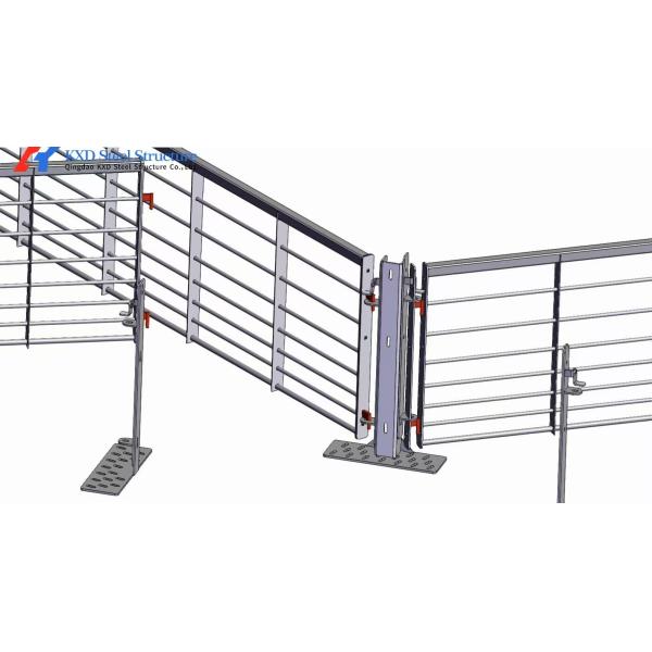 Custom Piggery Shed Light Steel Structure Cow Shed With Automatic Euipment