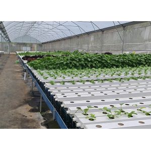 Climate Controlled Agricultural Greenhouse Hot Dipped Galvanized Steel
