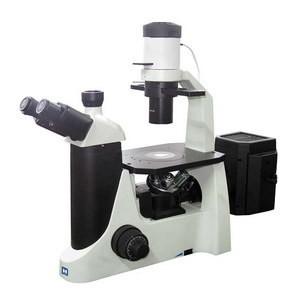 Quality DAPI, FITC, TRITC, Alexa Fluor, Cy3 series Trinocular Fluorescence Microscope for sale