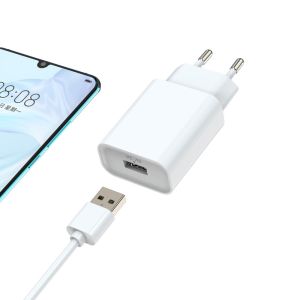 25g European USB Wall Charger