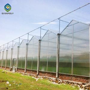 China 12m Multi Span Polycarbonate Greenhouse For Exhibition wholesale