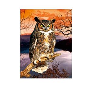 China 30x40cm Size 3D Pictures Of Animals 0.6mm PET Material Durable wholesale