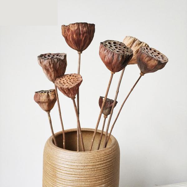 Quality Ornamental 50cm Seedpod Lotus Root Dried Flower Decor for sale