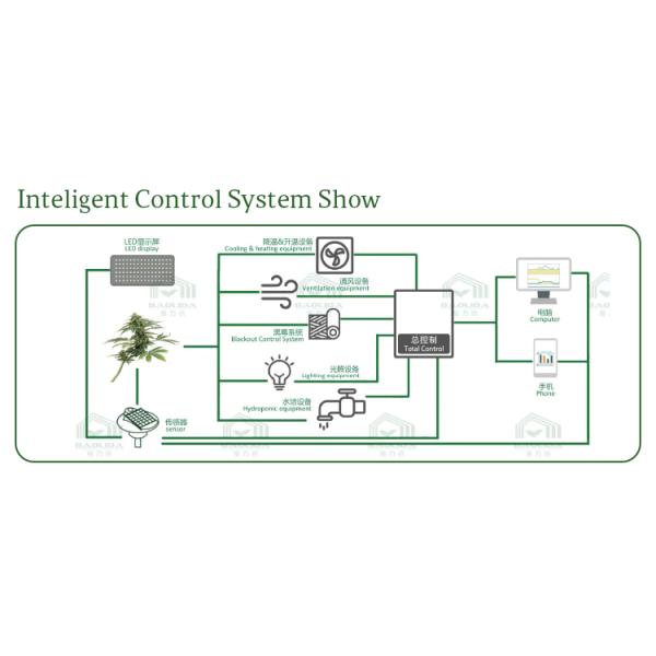 Automated Single Span Tunnel Medical Growing Automatic Blackout Greenhouse With Blackout System