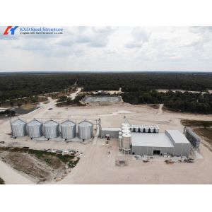 Fast Build Steel Structure Hog House / Hog Shed Customized