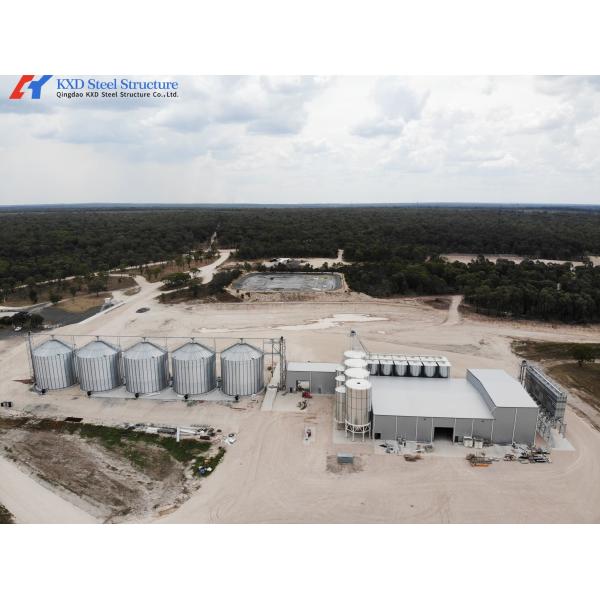 Construction Prefab Steel Structure Piggery Farm House / Steel Structure Cow