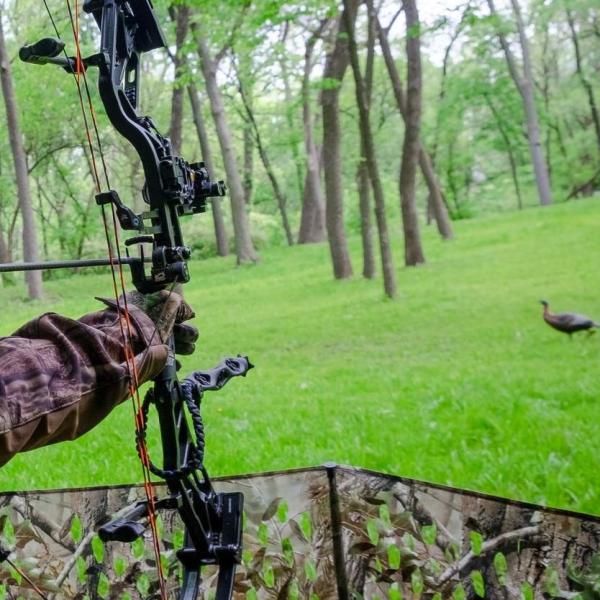 Wholesale price Id .245",6.2mm Spine 250/300/340/400/500/600 Hunting and Target Striker Arrows