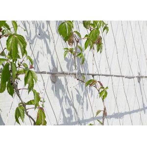 China SS 316 Aviary Wire Netting for Birds - Stainless Steel Zoo Fencing wholesale