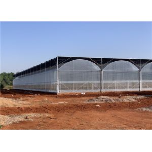 China Galvanized Steel Frame Plastic Film Greenhouse Good Insulation Performance wholesale