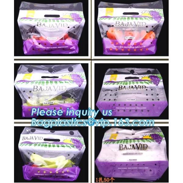 FDA PE customized size slider Freezer Bags, FDA approval slider ldpe bag clear /transparent slider k storage plast