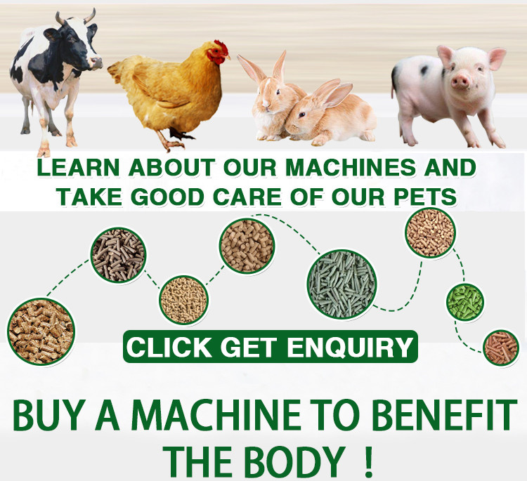 Fish Feed Grinding Machine 220v Poultry Pellet Making Machine