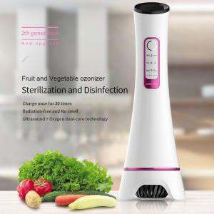 China 10W Ozone Ultrasonic Vegetable And Fruit Washer For Home Use wholesale