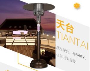 China Elegance Powder Coated Stand Up Outdoor Heater 13000W 1400-2000mm Height wholesale