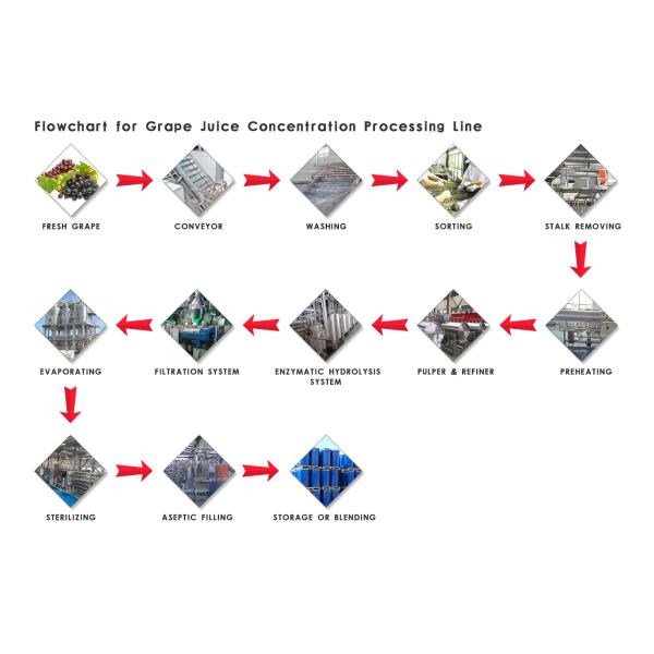 500 Tons Per Day Grape Juice And Jam Production Line SUS304 Special Equipment For Grape Processing Plants