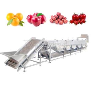 China Automatic Mango Washing Waxing Grading Machine For Fruit Processing wholesale