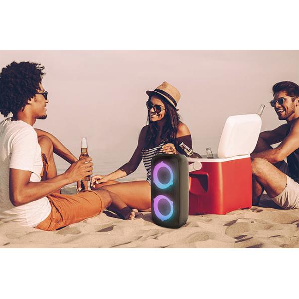 Black 4ω Impedance Bluetooth Speaker For Outdoor Party Entertainment Karaoke Function