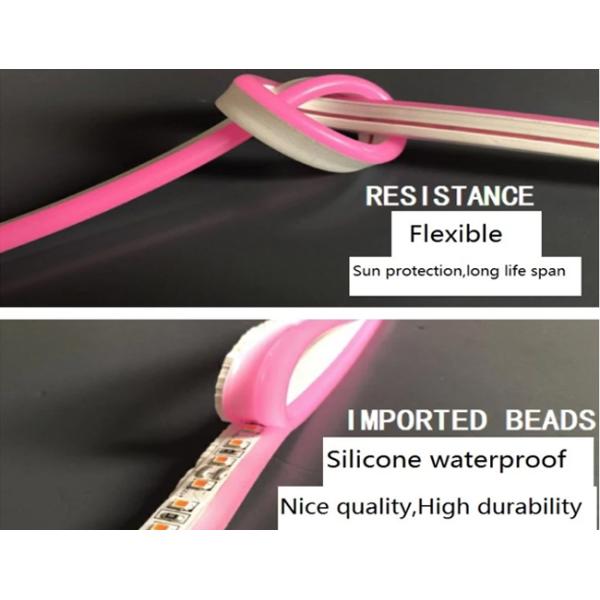 Luminous Flux Digital Neon LED Strip Rgb 6000K 9 - 10w/M SMD2835 IP65