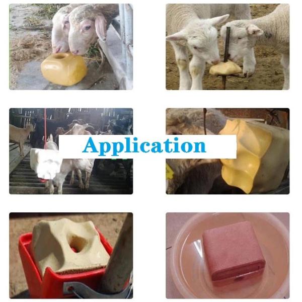 CNC Control Salt Block Press Machine Mineral Salt Block Tablet Pressing Vitaminized Salt Licking Block Tablet Press