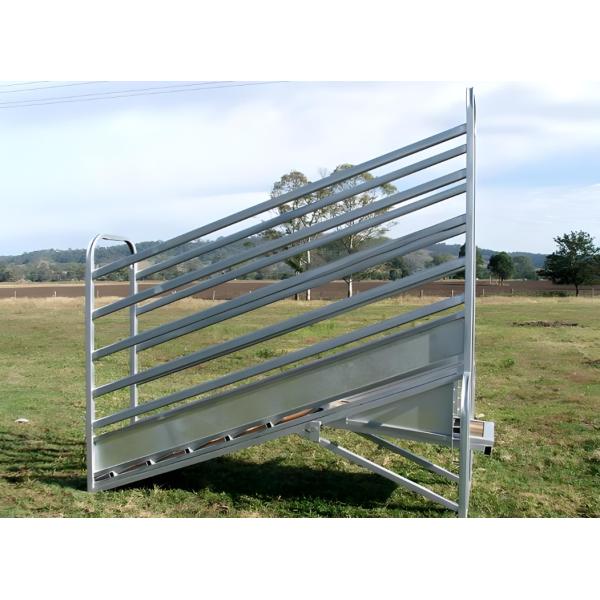 10' Height Adjustable Cattle Fence Panel Galvanized Cattle Loading Ramp With Sliding Gates